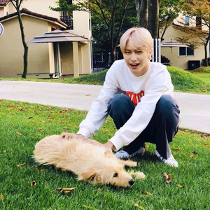 앨쑤 profile image