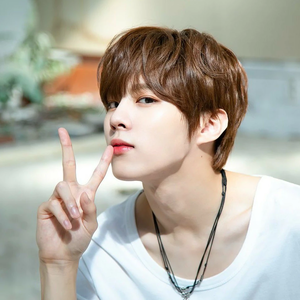 REST-WooseokieMe8 profile image