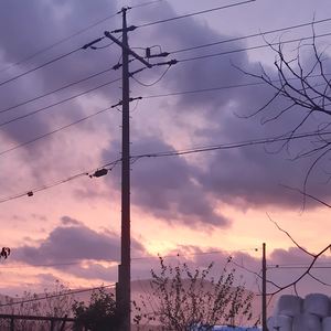 구운치즈 profile image