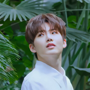 본본 profile image