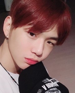 MidnightQ profile image