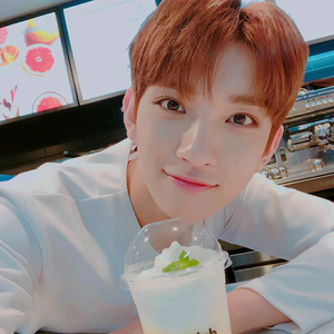 디노누구애기 profile image