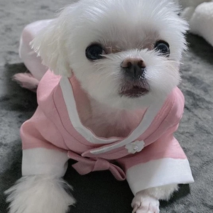 WarriorsAhgachella02 profile image