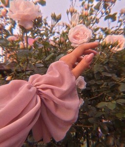 Rosy〴 profile image