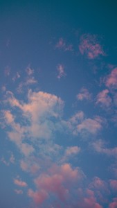 숀작가 profile image