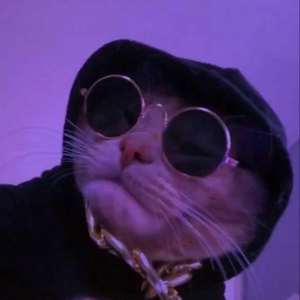 95a9becd07896a09db653a757b5a1208 profile image