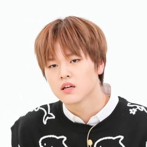 dohyonieyo profile image