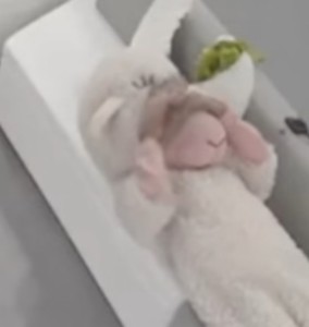 ぴざ profile image