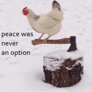 dearlu3 profile image