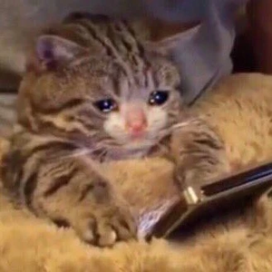 병친놈 profile image