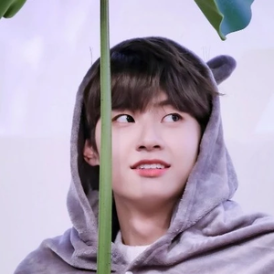 JHis뭔들 profile image