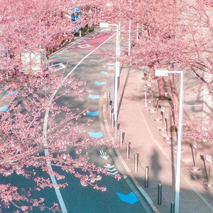 sasha-boo profile image