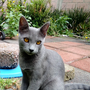 Marianazuu profile image