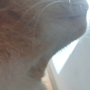 moondax profile image