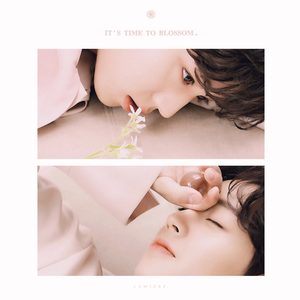 kycpiliw profile image