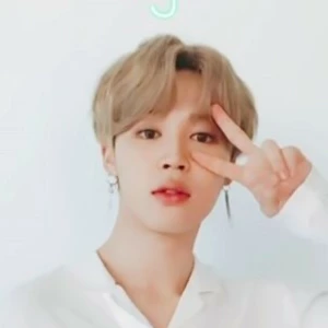 단지Army profile image