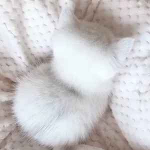 조랭이똑 profile image