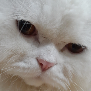 뭉이냥 profile image