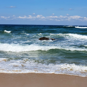 abac8be0c884f73480afafe36b544704 profile image