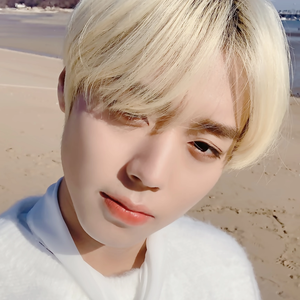 헤헷콩 profile image