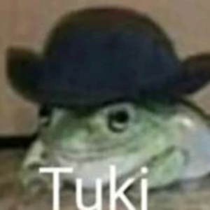 sapotuki profile image