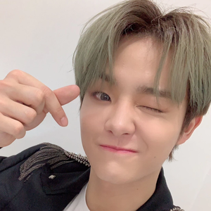 tiramysu profile image