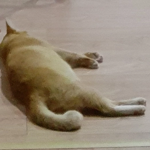 AgainMe profile image