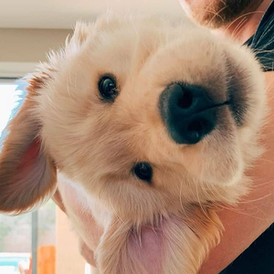 방댕 profile image