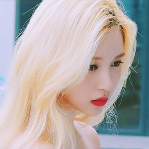 청월清月's profile image