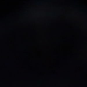 당근을좋아하는토끼 profile image