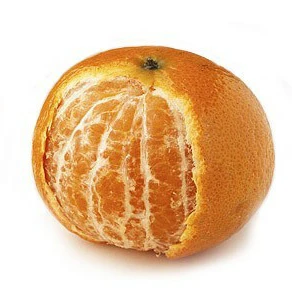 느그집규리 profile image