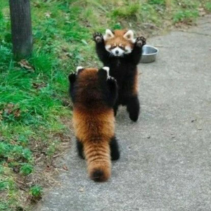 에베베베벱뀨 profile image