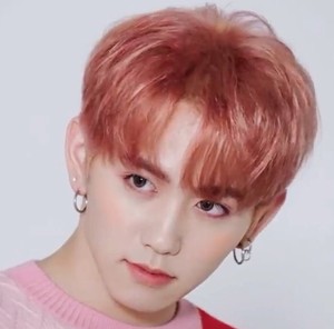 むーたん profile image