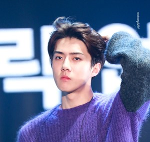 af294cff9401e5faac37c6a57aca0f0d profile image