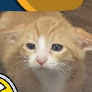 하은1202 profile image