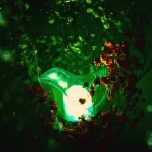 WarriorsAhgachella04 profile image