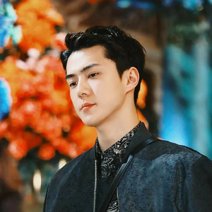 yssehunnie1294 profile image