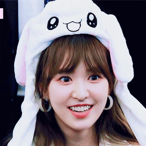 numberwan profile image