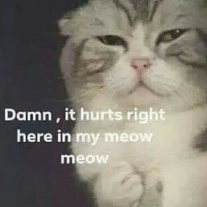 blobokblobok profile image