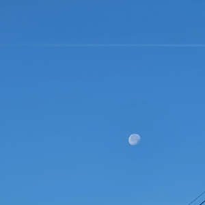 히유에요 profile image