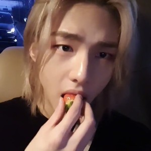 franciscahj22 profile image