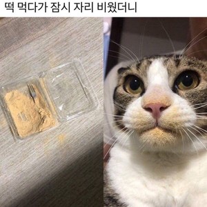 하그새앵 profile image