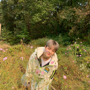 aiurs14 profile image