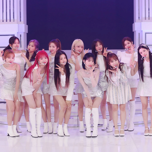 위즈탱이 profile image