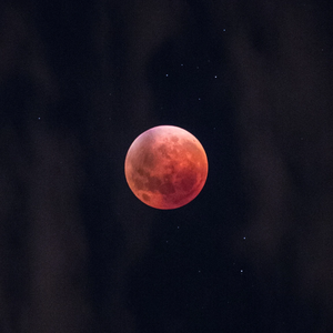 远山桑 profile image