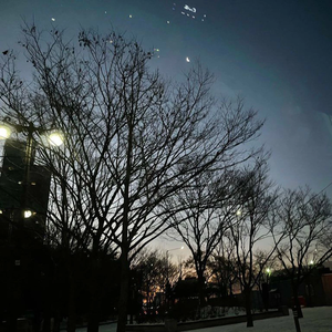 Heeblue profile image