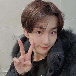 wonieverse profile image