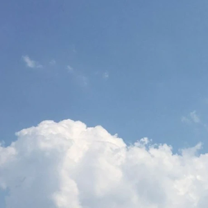 보랏빛world profile image