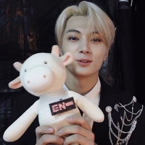 tochimaru profile image