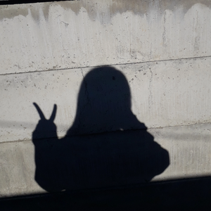 까까누나캐미 profile image